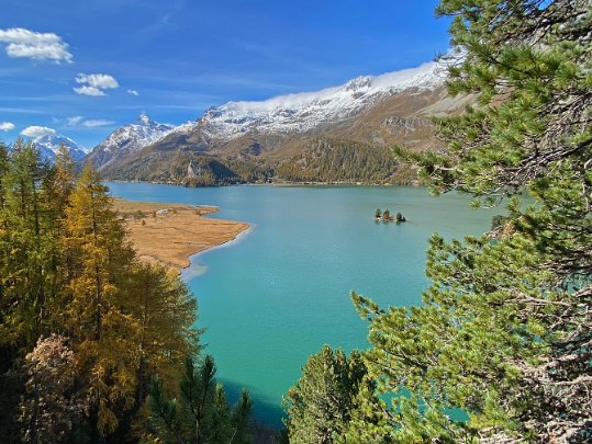 Silvaplana - Maloja Grisons - Suisse